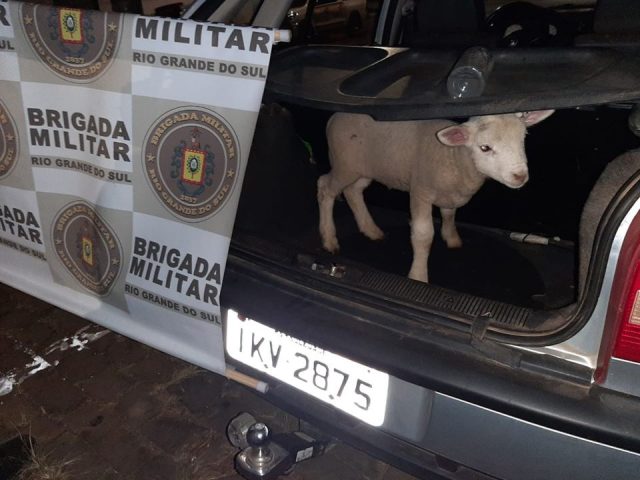 Brigada Militar registra furto abigeato no interior de Soledade