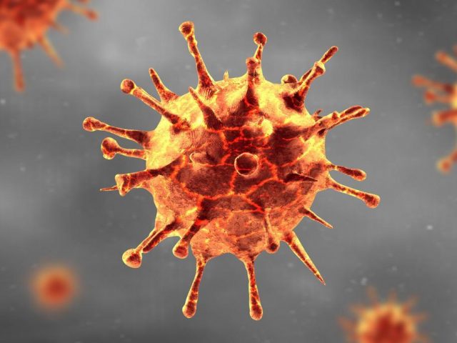 Arvorezinha registra primeiro óbito do novo Coronavírus