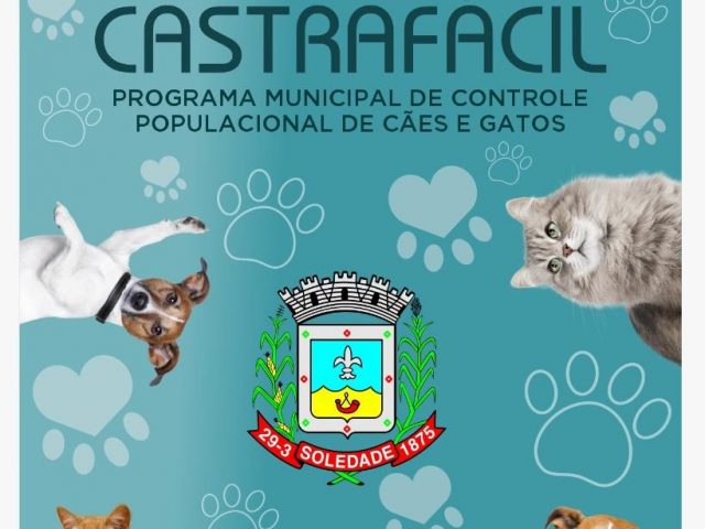 Programa CastraFácil realizou 39 castrações no mês de junho