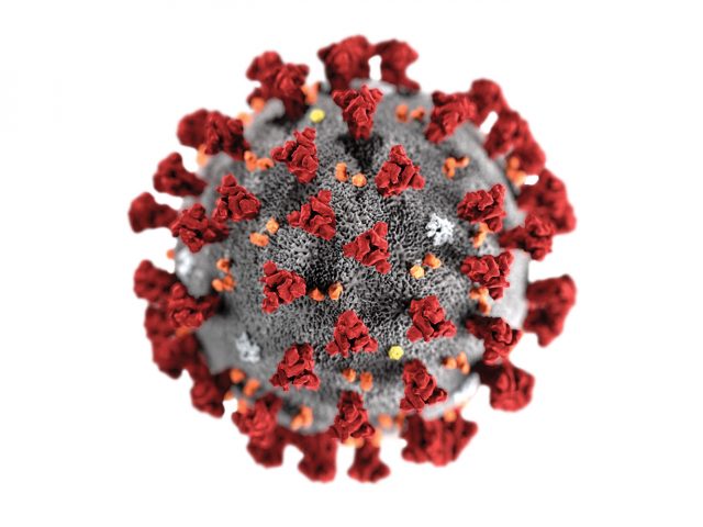 Coronavírus: Seis novos casos  são registrados nas últimas horas em Soledade