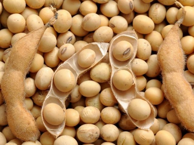 RS: produtores de soja iniciam colheita aos poucos na região