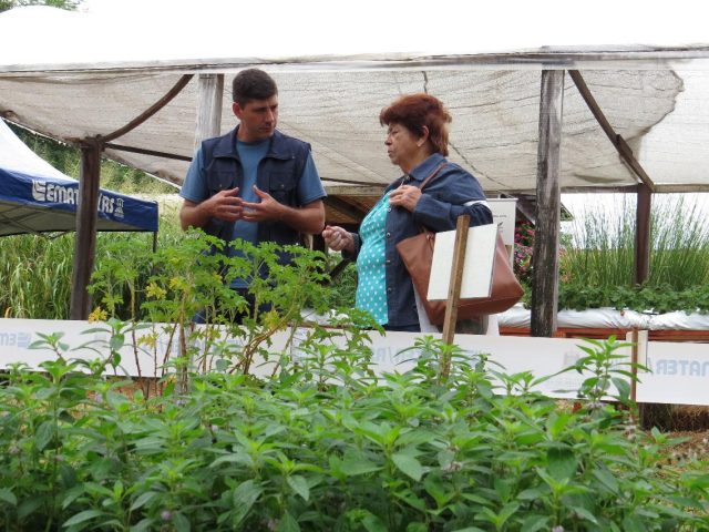Expoagro Afubra – Plantas Bioativas são novidades no Espaço Casa da Emater