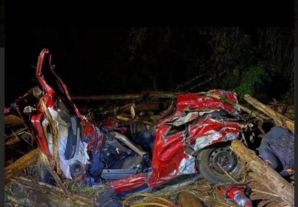 Cinco pessoas morrem após toras de eucalipto caírem de caminhão sobre carros
