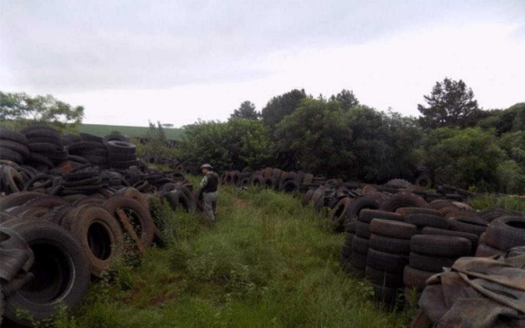 Policiamento ambiental flagra depósito de pneus a céu aberto em Ernestina