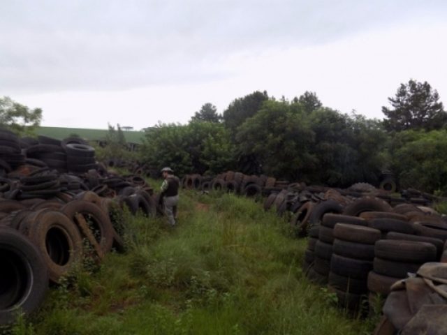 Policiamento ambiental flagra depósito de pneus a céu aberto em Ernestina