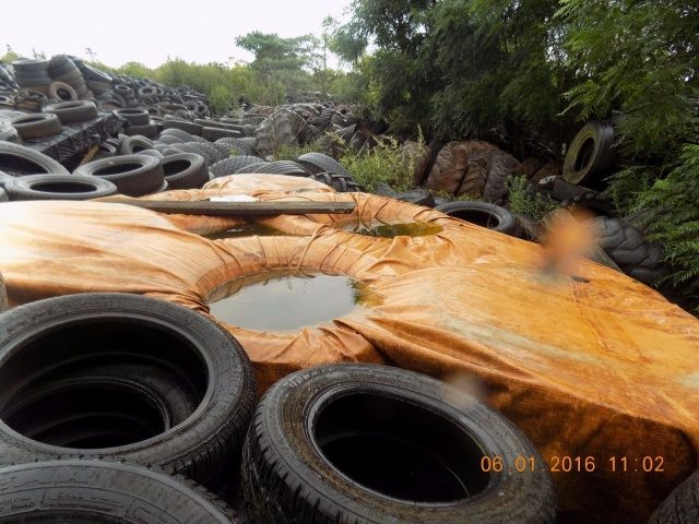Vigilante sanitário coleta amostras de água acumulada em depósito de pneus em Ernestina