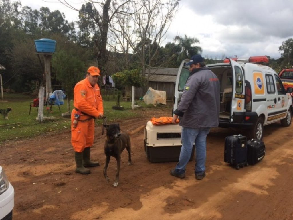 Cães farejadores são usados na busca a soledadense desaparecido